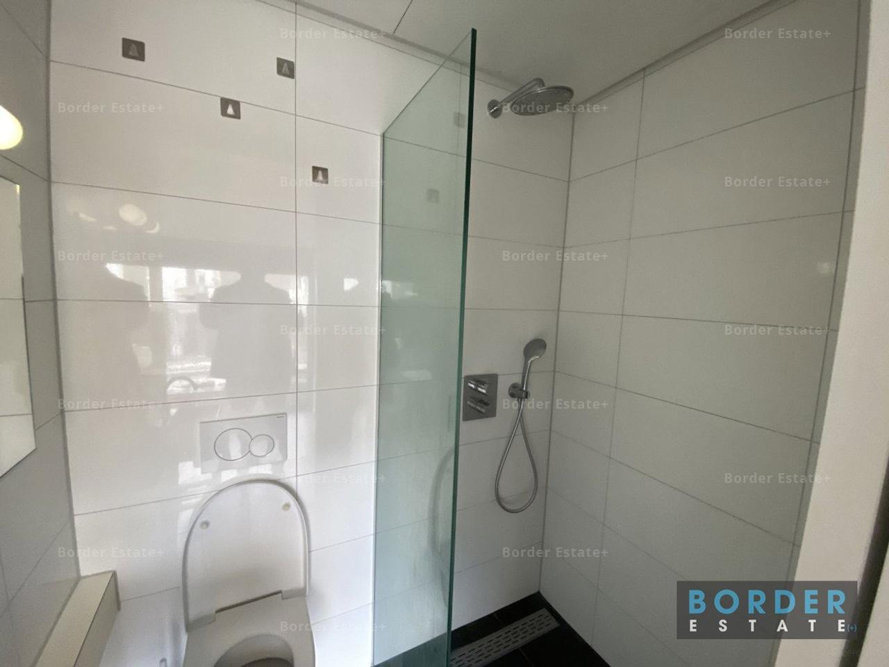 Furnished 25 m² Studio in Wyck - Image 6