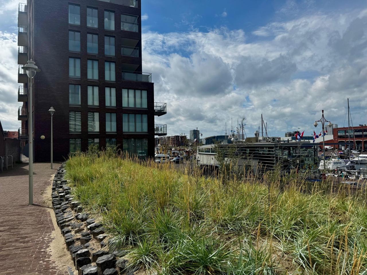 Harbour and sea views with terrace - Image 1