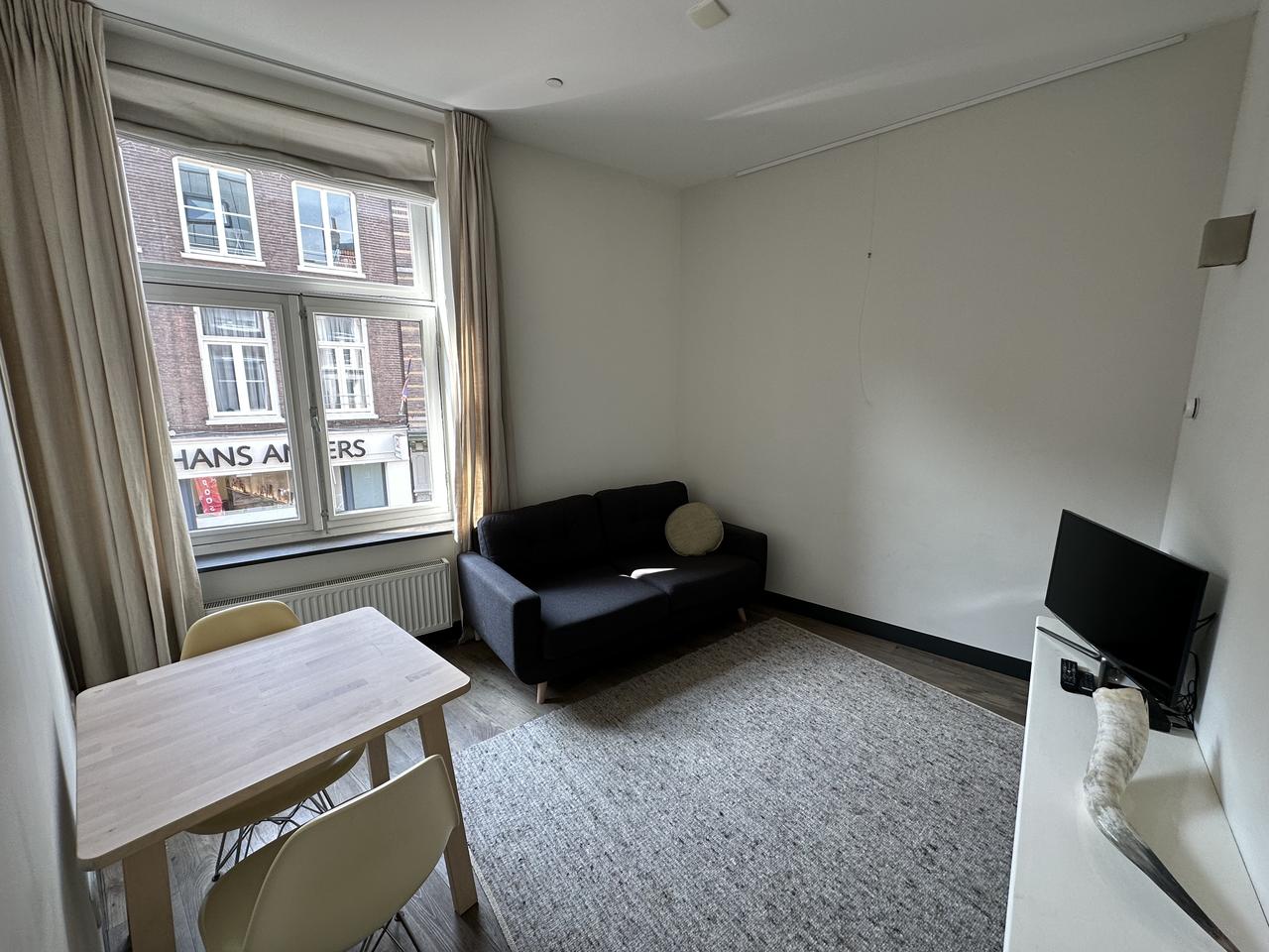 Furnished studio apartment in Arnhem - Image 3