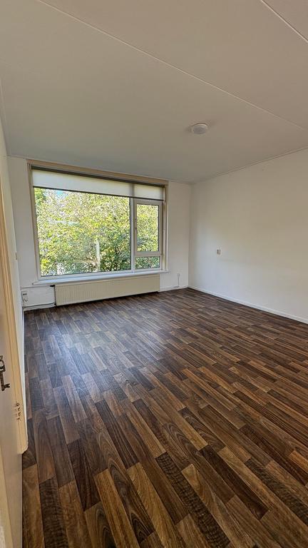 Tijdelijke driekamerwoning met tuin - Afbeelding 5