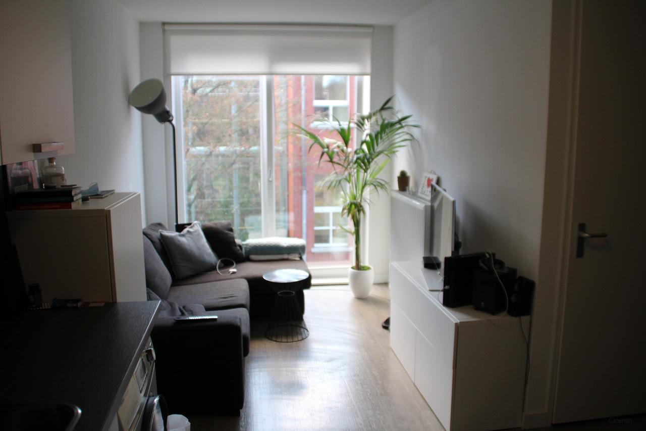 Compact 2-kamerappartement bij Noorderplantsoen - Afbeelding 4