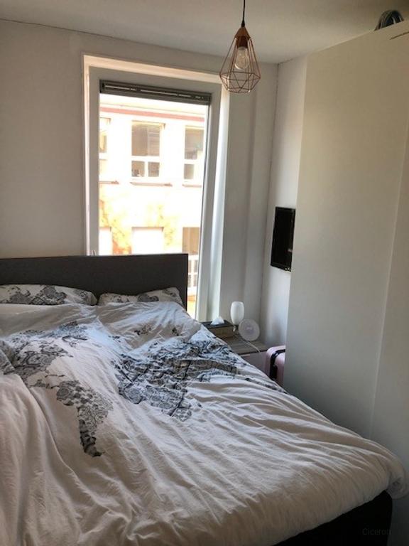Compact 2-kamerappartement bij Noorderplantsoen - Afbeelding 7