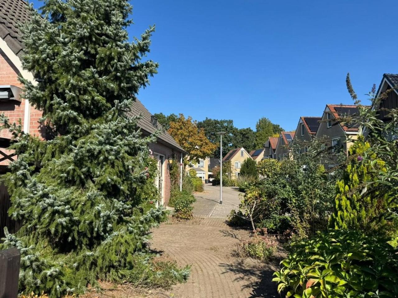 Ground-floor bedroom and garden - Image 25