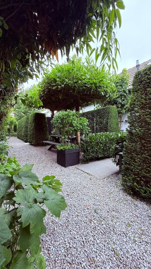 Appartement met terras in Heugem - Afbeelding 2