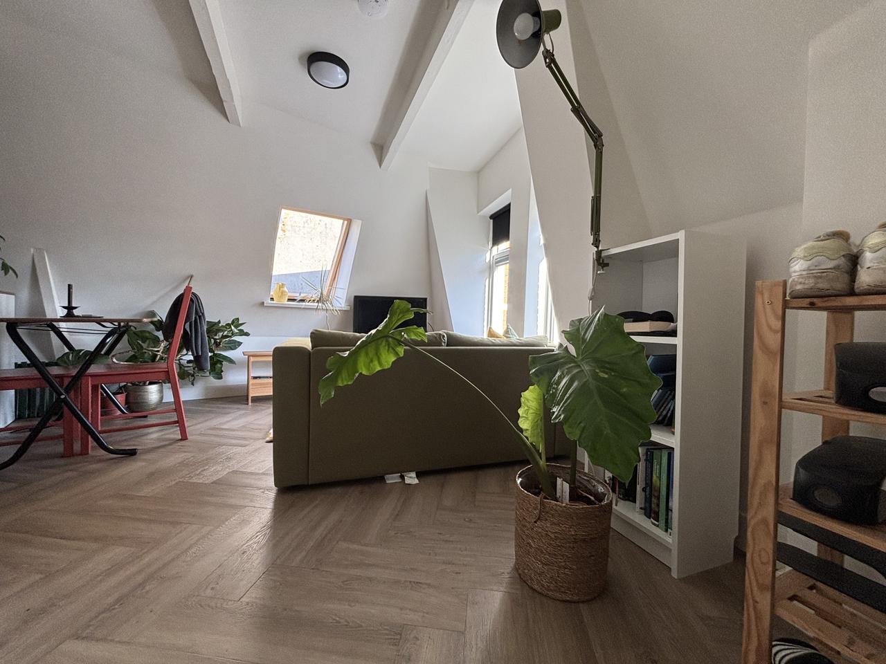 Appartement met 1 slaapkamer in Schildersbuurt - Afbeelding 3