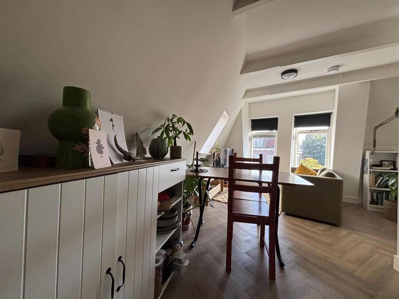 Appartement met 1 slaapkamer in Schildersbuurt - Afbeelding 5
