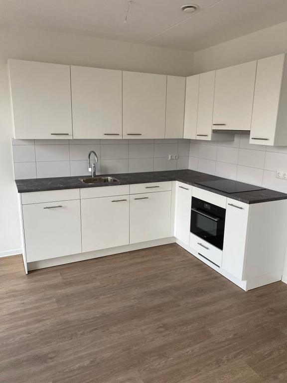 A+++ appartement met tuin in Hurdegaryp - Afbeelding 5