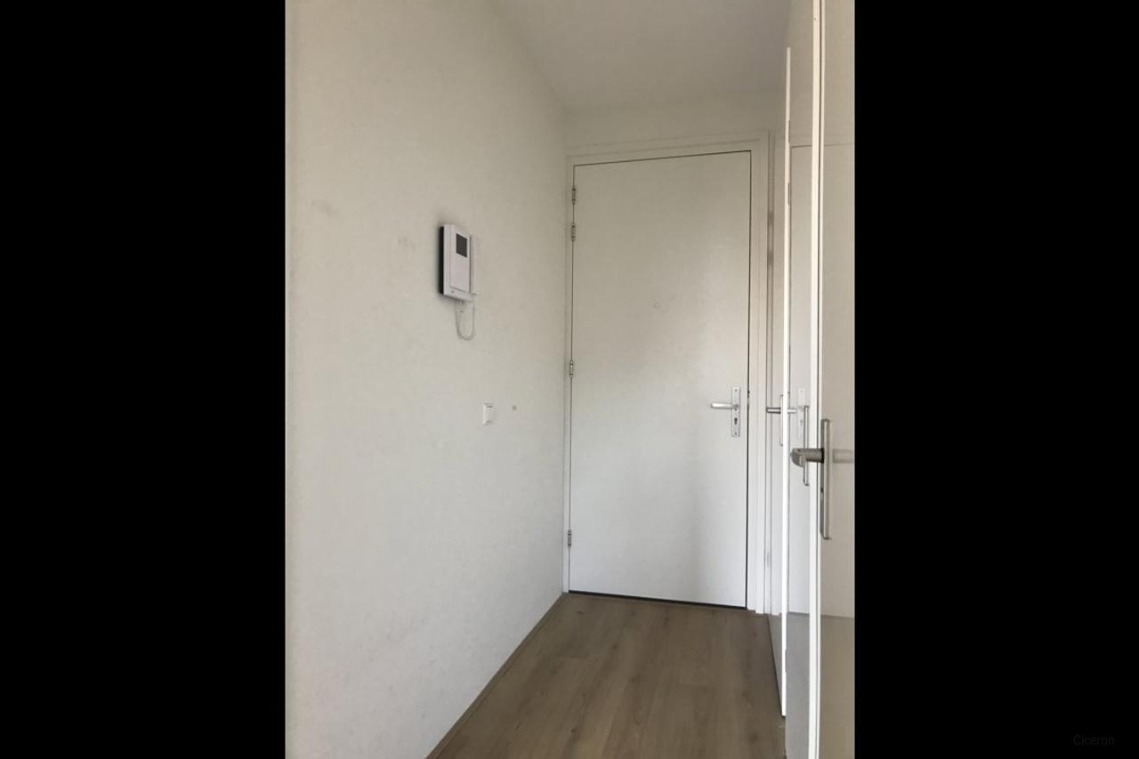 2-kamerappartement met balkon in Hanzeland - Afbeelding 6