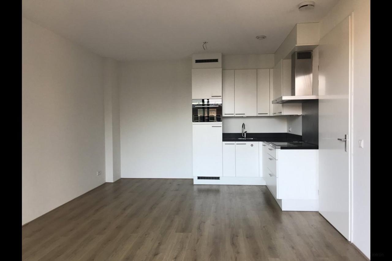 2-kamerappartement met balkon in Hanzeland - Afbeelding 8