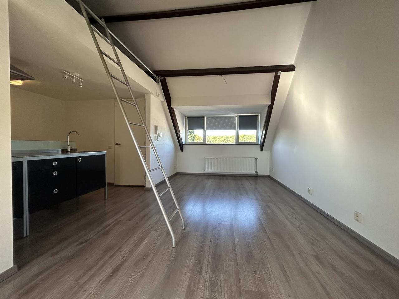 Studio met slaapvide en tuin in Amby - Afbeelding 2