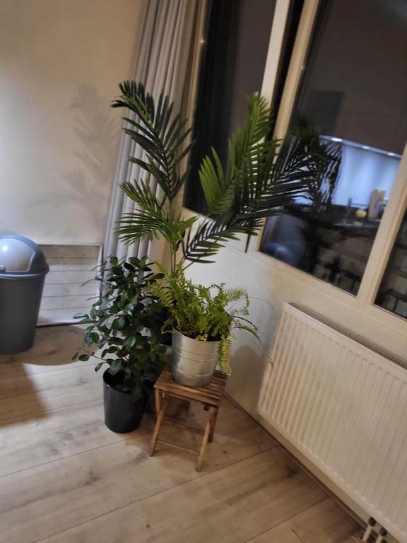 Furnished 2-bedroom apartment with balcony - Image 6