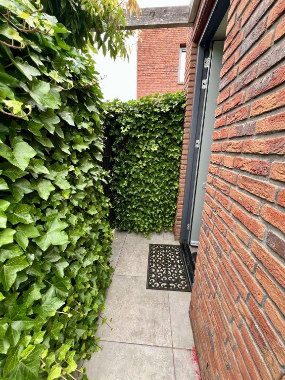 Furnished bungalow with garden in Deurne - Image 3