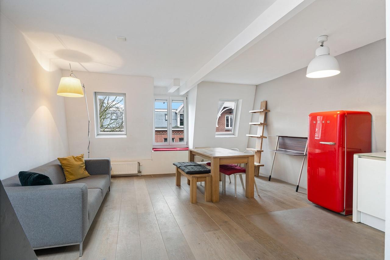 Furnished apartment with rooftop terrace - Image 3