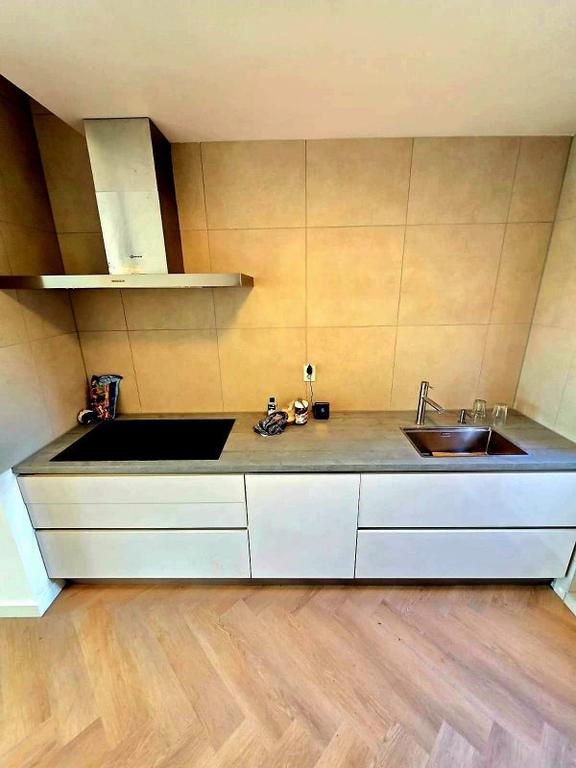 Furnished 65 m² studio in Nieuw Engeland - Image 7
