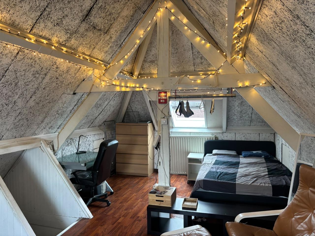Studentenkamer van 25 m² in Theresia Midden - Afbeelding 1