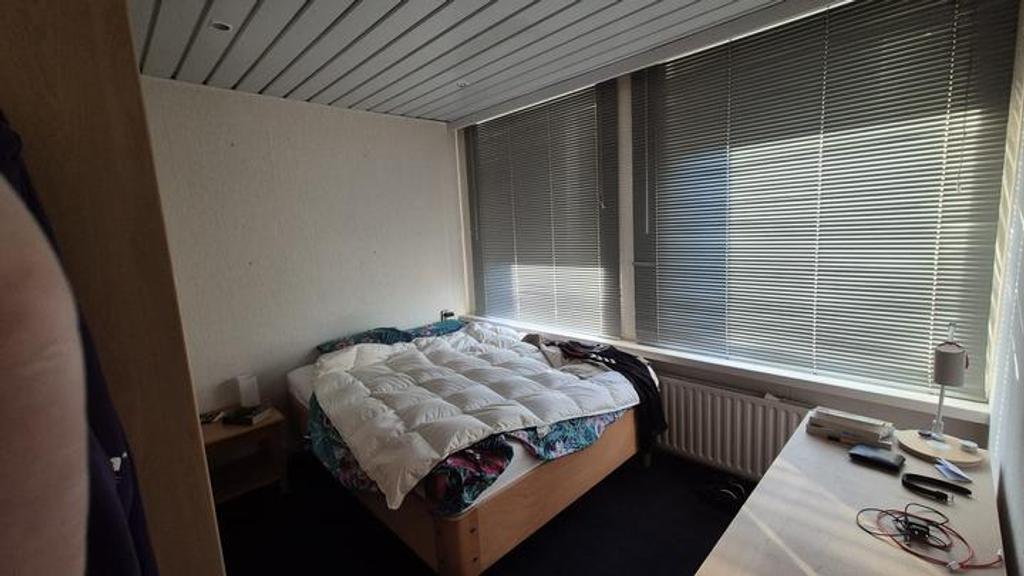 Share two rooms in a house in The Hague - Image 1