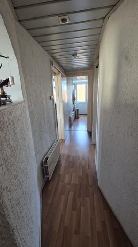 Share two rooms in a house in The Hague - Image 7