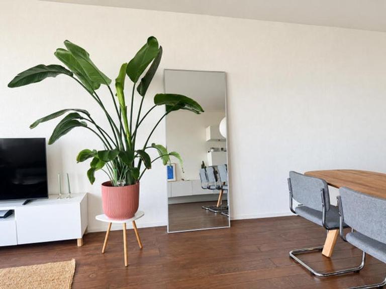 Licht 2-kamerappartement bij Utrecht Centraal - Afbeelding 10