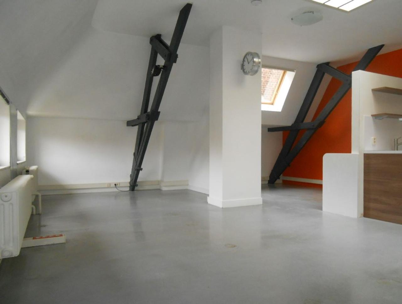 51 m² Studio with Courtyard in Delft - Image 5