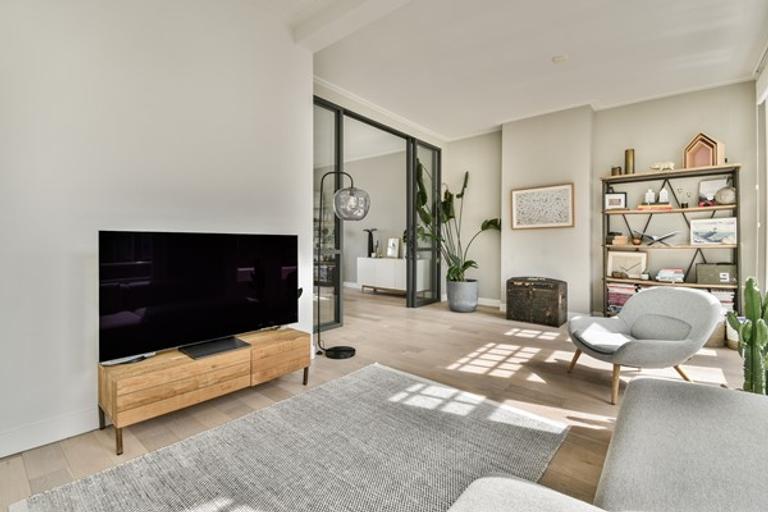 Dakterras van 50 m² in Willemspark - Afbeelding 3