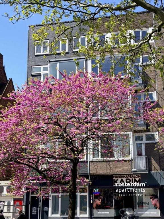 Gemeubileerd 2-kamerappartement Schiedam - Afbeelding 24