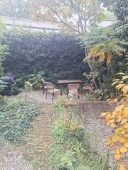 Available Now: Apartment in Centrum-West - Image 4
