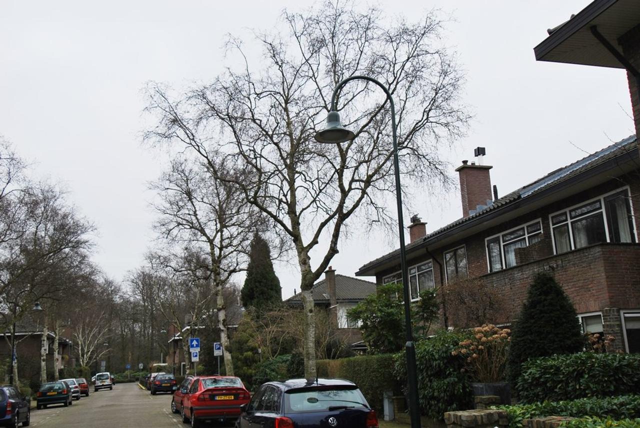 Zuidwesttuin bij 5-slaapkamer herenhuis - Afbeelding 24