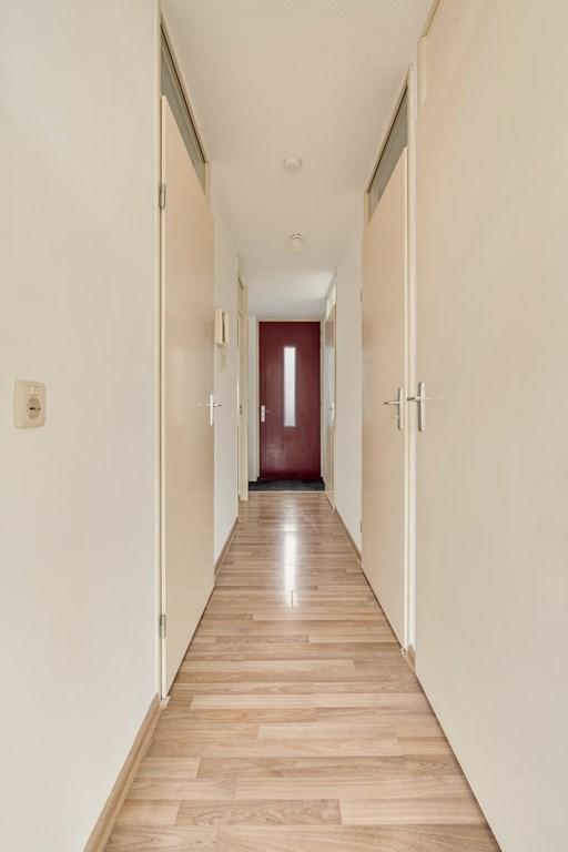 Gemeubileerd appartement met dakterras in De Pijp - Afbeelding 15