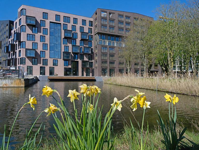 Direct beschikbaar: gemeubileerd 2-kamerappartement - Afbeelding 25