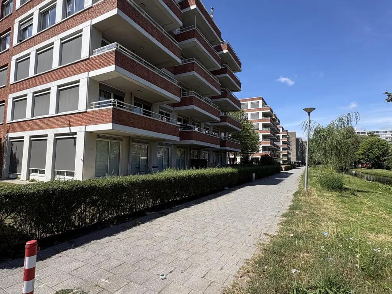 Rolstoeltoegankelijk 3-kamerappartement in Pendrecht - Afbeelding 3