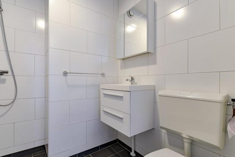 Zuidbalkon en grote zolder in De Pijp - Afbeelding 20