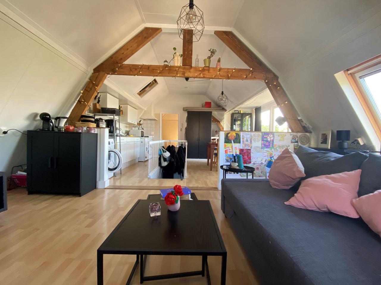 60 m² studentenappartement met dakterras - Afbeelding 1