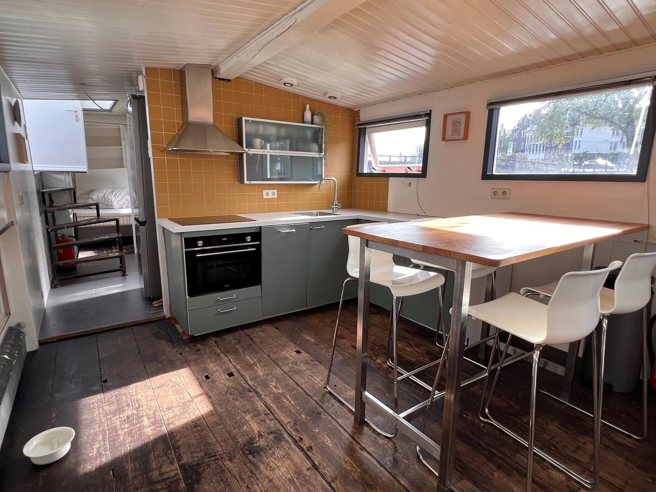 Woonboot aan de Amstel met dakterras - Afbeelding 1