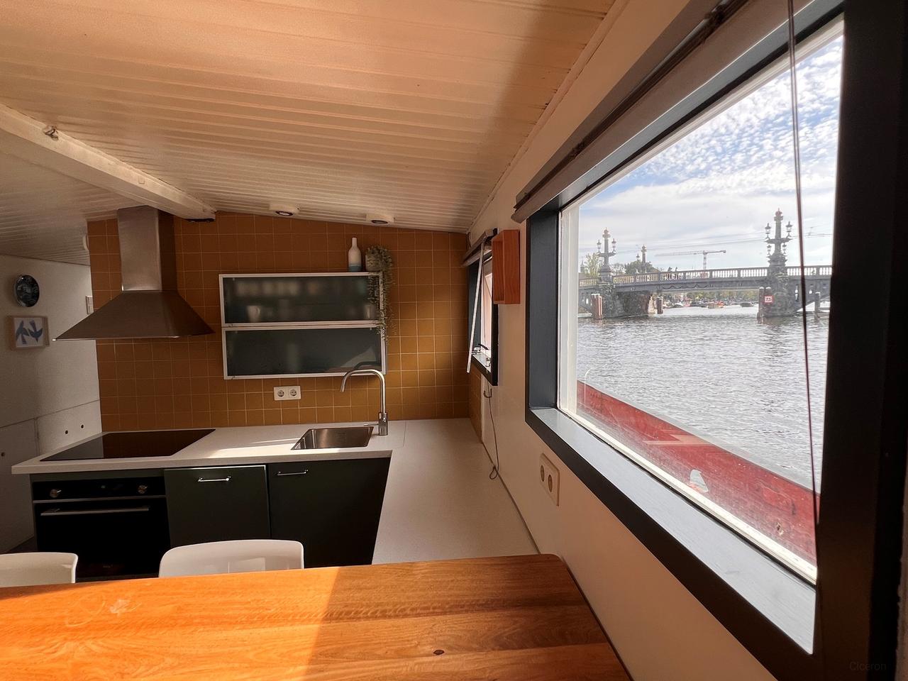 Woonboot aan de Amstel met dakterras - Afbeelding 2